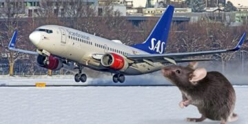 Një mi në bord bëhet shkak për devijimin e destinacionit të avionit të SAS