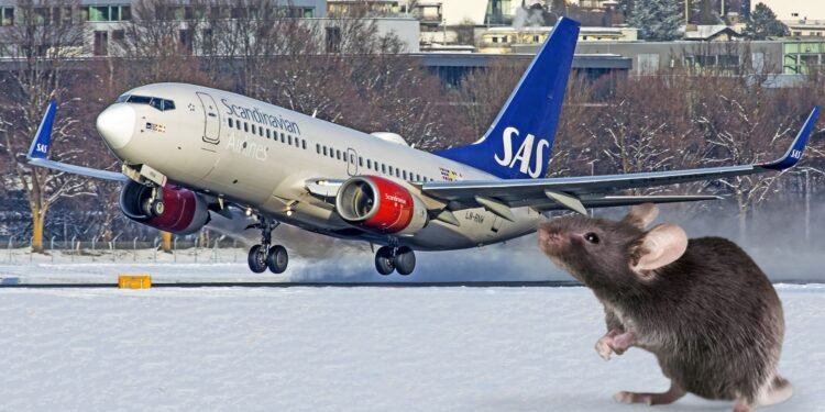 Një mi në bord bëhet shkak për devijimin e destinacionit të avionit të SAS