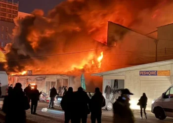 Pse nuk merren në sigurim të gjitha pronat, menaxhimi i riskut dhe rasti i Tregut “Dinamo”