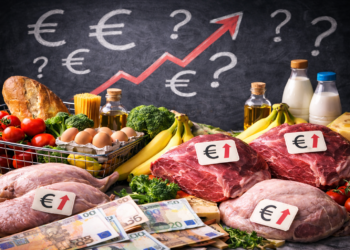 Euro bie, çmimet jo: Pse ushqimet mbeten të shtrenjta në Shqipëri