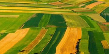 Sa tokë bujqësore ka mesatarisht çdo shqiptar? Rreth 4,400 metra katrorë për banor, renditemi në mes të rajonit