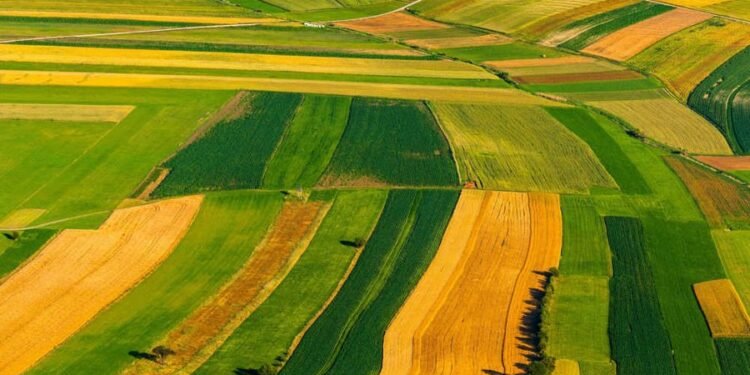 Sa tokë bujqësore ka mesatarisht çdo shqiptar? Rreth 4,400 metra katrorë për banor, renditemi në mes të rajonit