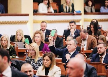 Dieta ushqimore, karburant, telefon të paguar: Sa shumë na kushton një deputet