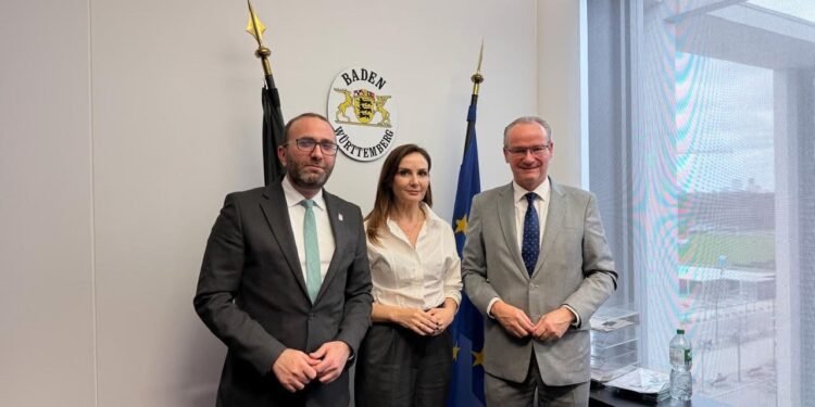 Rexhaj: Opozita po minon kredibilitetin e Shqipërisë në arenën ndërkombëtare