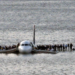 Një tjetër avion ulet në lumin Hudson dhe sërish mbijetojnë të gjithë