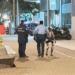 Policia arreston një robot