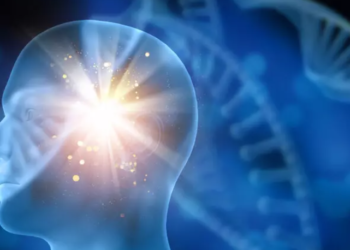 Studiuesit zbulojnë si mund të funksionojë më mirë marrëdhënia midis njerëzve dhe inteligjencës artificiale