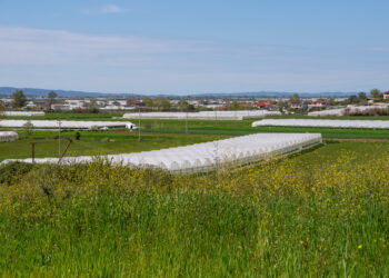 “Duan të më bllokojnë”, grantet e IPARD përfundojnë në gjykatë, beteja për kthimin e fondeve