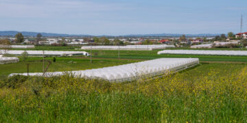 “Duan të më bllokojnë”, grantet e IPARD përfundojnë në gjykatë, beteja për kthimin e fondeve