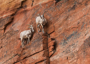 Nëntë këshilla që iu ndihmojnë të përballoni kohërat e trazuara
