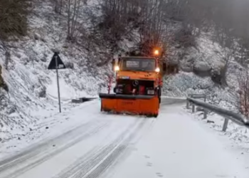 Borë në pranverë, zbardhet Dardha e Korçës