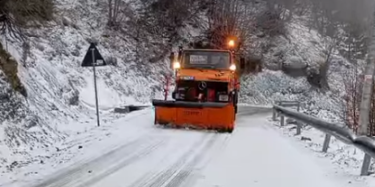 Borë në pranverë, zbardhet Dardha e Korçës