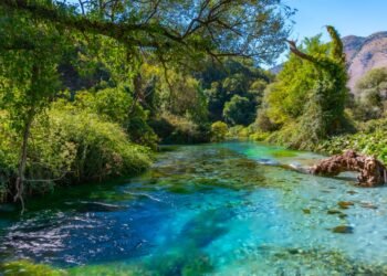 Favorizoi biznesin e familjarit te Syri i Kaltër, shkarkohet nga detyra drejtori i AKZM-së në Vlorë