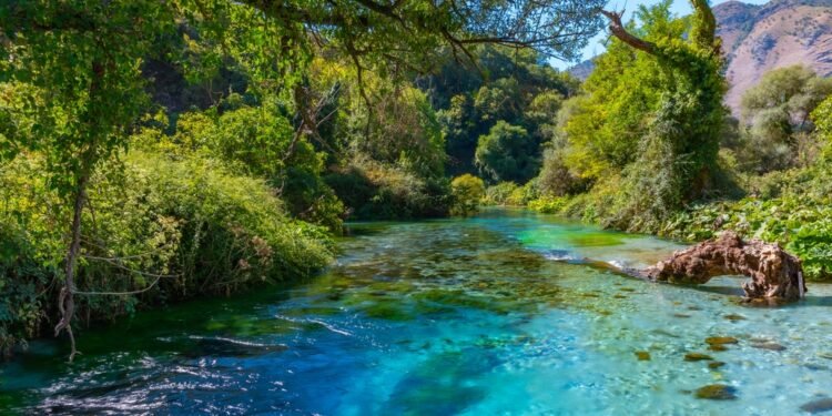 Favorizoi biznesin e familjarit te Syri i Kaltër, shkarkohet nga detyra drejtori i AKZM-së në Vlorë