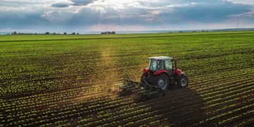 VENDIMI/ Hiqet nafta falas për fermerët, ndryshime në subvencionet për bagëtitë