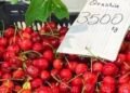 Qershia kthehet në ushqim luksi, 36 euro 1 kilogram në Tiranë