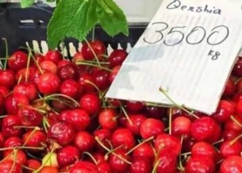 Qershia kthehet në ushqim luksi, 36 euro 1 kilogram në Tiranë