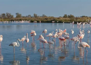 Pesë arsyet përse veriu i Shqipërisë është destinacioni i ardhshëm elitar i Evropës