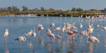 Pesë arsyet përse veriu i Shqipërisë është destinacioni i ardhshëm elitar i Evropës