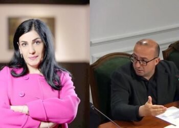 Ironizon Korreshi: U mblodhëm për t’i qarë hallin Mirlindës, por doli me vilë në Palasë