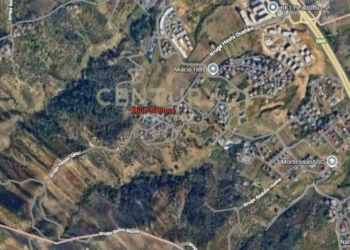 Kullat mbërrijnë në TEG, kush fshihet pas biznesmenes Yllka Sula