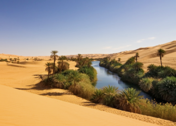 FOTO/ Njihuni me Saharanë e vogël italiane