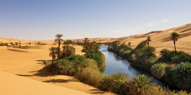 FOTO/ Njihuni me Saharanë e vogël italiane