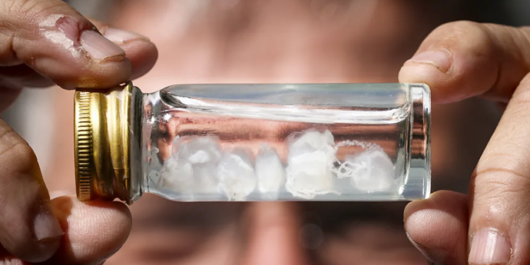 Cili është pickimi më i dhimbshëm në botë?