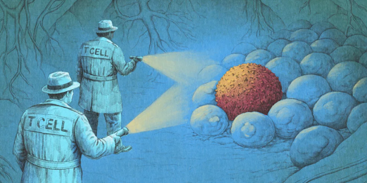 Si po eliminon kancerin një valë e re imunoterapie