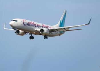 Foshnja lind gjatë fluturimit në avion, hap ngërç ligjor për shtetësinë