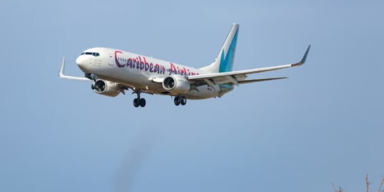 Foshnja lind gjatë fluturimit në avion, hap ngërç ligjor për shtetësinë