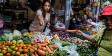 Fermerët në vështirësi, lufta SHBA-Iran prek zinxhirin ushqimor global