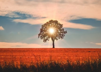 Evropa regjistron marsin e dytë më të ngrohtë në histori