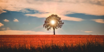 Evropa regjistron marsin e dytë më të ngrohtë në histori