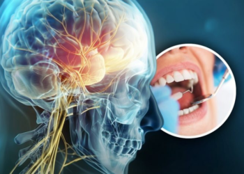 Shkencëtarët zbulojnë sekretin te dhëmbët e mençurisë që mund të shpëtojë jetë