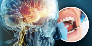 Shkencëtarët zbulojnë sekretin te dhëmbët e mençurisë që mund të shpëtojë jetë