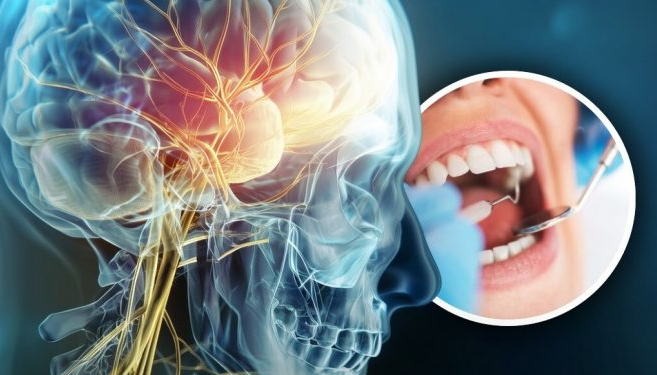 Shkencëtarët zbulojnë sekretin te dhëmbët e mençurisë që mund të shpëtojë jetë