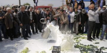 Skema e re e subvencioneve, blegtorët paralajmërojnë protesta