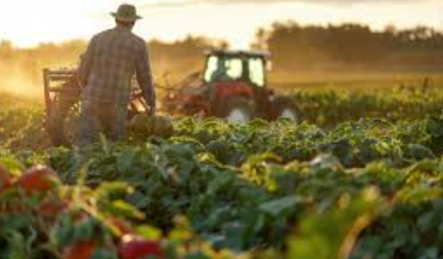 Skema e re e TVSH-së, nga1 korriku nis kompensimi për fermerët