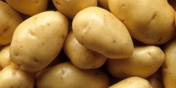 Patatja gjermane “pushton” tregun shqiptar, çmimet bien me 22%