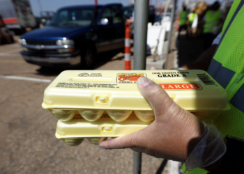 Në SHBA nis lufta ndaj kartelit të vezëve: Rritën çmimet në mënyrë të organizuar