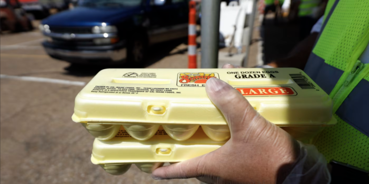 Në SHBA nis lufta ndaj kartelit të vezëve: Rritën çmimet në mënyrë të organizuar