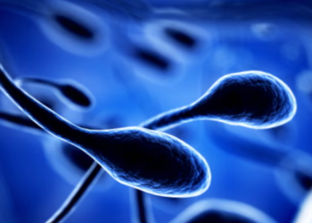 Kimikatet toksike dhe nxehtësia janë shkaku i mundshëm i uljes së pjellorisë