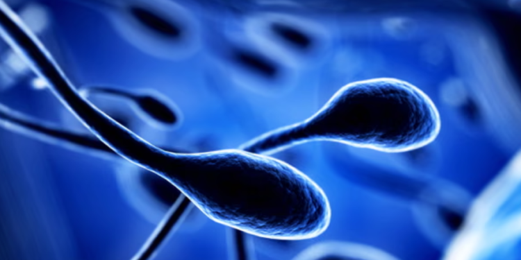 Kimikatet toksike dhe nxehtësia janë shkaku i mundshëm i uljes së pjellorisë