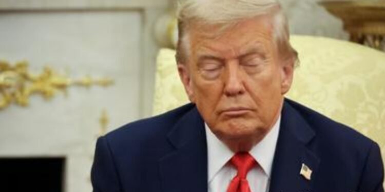 30 mjekë e shpallin Donald Trumpin të paaftë mendërisht