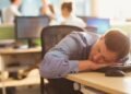 Shqiptarët “dembelë”, OECD: Produktiviteti i bizneseve shqiptare sa 23-29% e BE-së