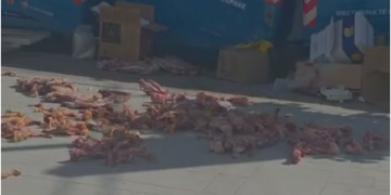 Skandal në Tiranë/ Mbetje kafshësh dhe kocka të hedhura në trotuar, alarm për shëndetin publik (VIDEO)