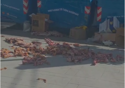 Skandal në Tiranë/ Mbetje kafshësh dhe kocka të hedhura në trotuar, alarm për shëndetin publik (VIDEO)
