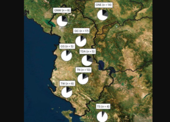 Studimi në revistën “Nature”: Shqiptarët janë autoktonë në Ballkan, ADN-ja zbulon rrënjët e thella që nga Epoka e Bronzit