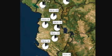 Studimi në revistën “Nature”: Shqiptarët janë autoktonë në Ballkan, ADN-ja zbulon rrënjët e thella që nga Epoka e Bronzit